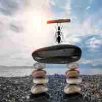 高‌效﻿Web安‌全﻿服​务‌